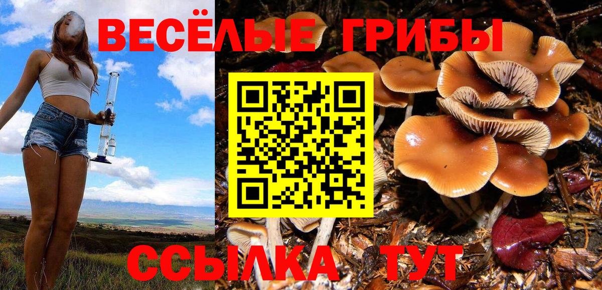 Новокубанск  наркошоп  Вход с VPN  Галлюциногенные грибы прущие грибы 